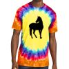 Window Tie Dye Tee Thumbnail